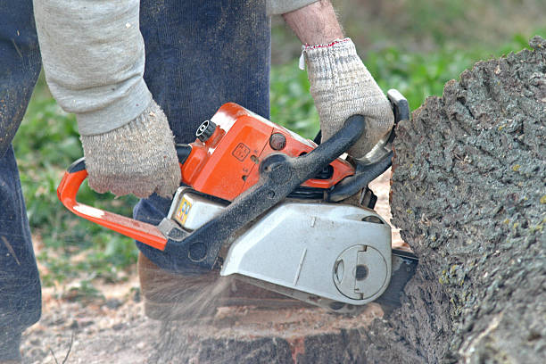 Soil Testing and Treatment in Monson Center, MA